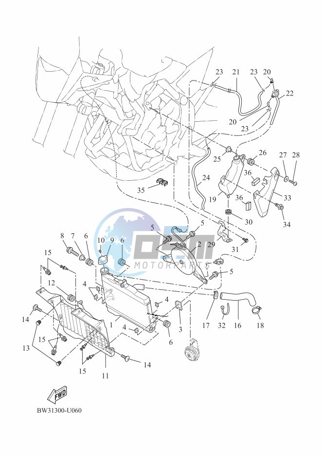 RADIATOR & HOSE