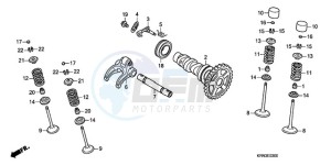 CRF250R9 Europe Direct - (ED / CMF) drawing CAMSHAFT/VALVE