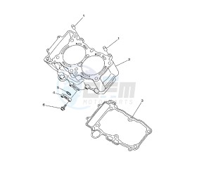 XTZ SUPER TENERE 1200 drawing CYLINDER