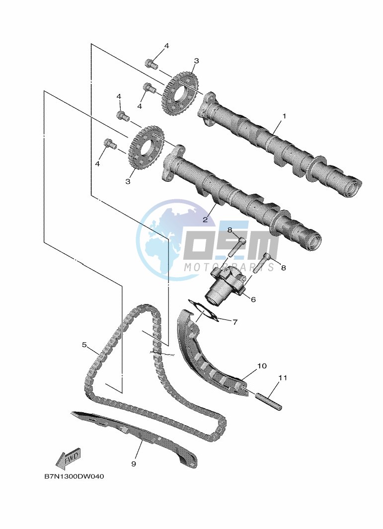 CAMSHAFT & CHAIN