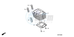 CBF125MA Europe Direct - (ED) drawing CYLINDER