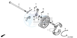 CRF50FB CRF50F ED drawing REAR BRAKE PANEL