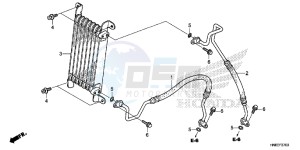 TRX680FAG Wave 110 - AFS110 UK - (E) drawing OIL COOLER