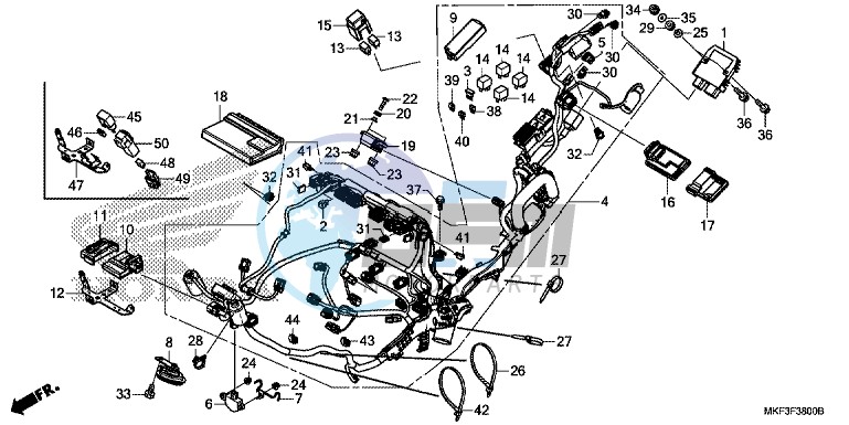 WIRE HARNESS