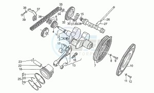 Sport 1100 Carburatori Carburatori drawing Drive shaft