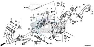 CBR1000RAG CBR1000 - Fireblade ABS Europe Direct - (ED) drawing EXHAUST MUFFLER