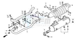 TRX350FM FOURTRAX 350 4X4 drawing EXHAUST MUFFLER