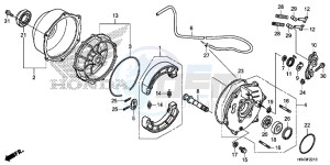 TRX500FM1F TRX500FM Europe Direct - (ED) drawing REAR BRAKE PANEL