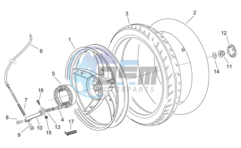 Rear wheel - drum brake