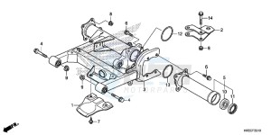 TRX420TE1F TRX420 Europe Direct - (ED) drawing SWINGARM