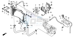 CBR900RR FIRE BLADE drawing RADIATOR (2)