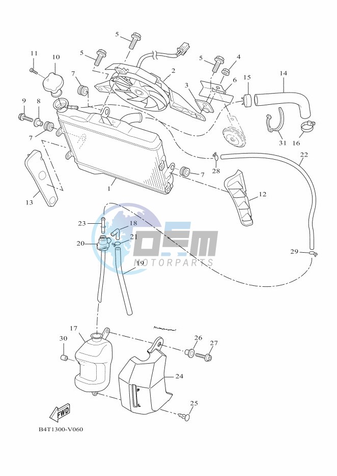 RADIATOR & HOSE