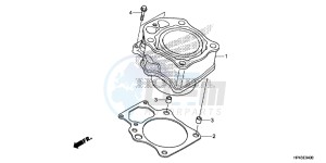 TRX420FPMD TRX420 Europe Direct - (ED) drawing CYLINDER