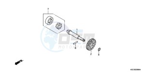 CRF150RBC drawing OIL PUMP