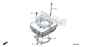 TRX500FPE9 Australia - (U / PS) drawing CYLINDER