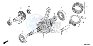 TRX680FAG Wave 110 - AFS110 UK - (E) drawing CRANK SHAFT/ PI STON