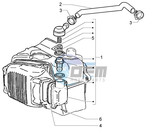 Oil drain valve