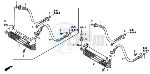 TRX250TE FOURTRAX ES drawing OIL COOLER