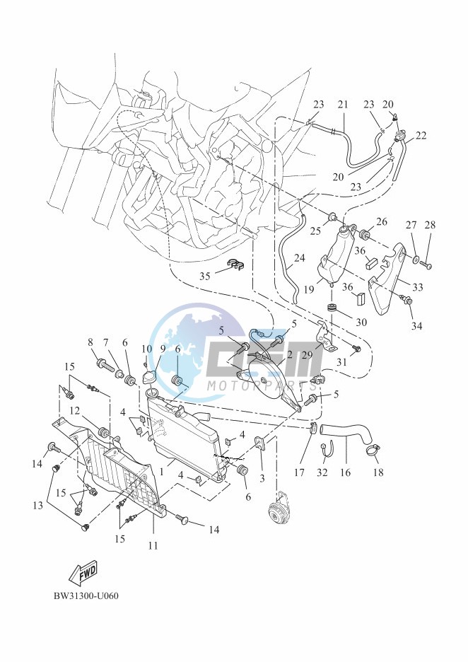 RADIATOR & HOSE