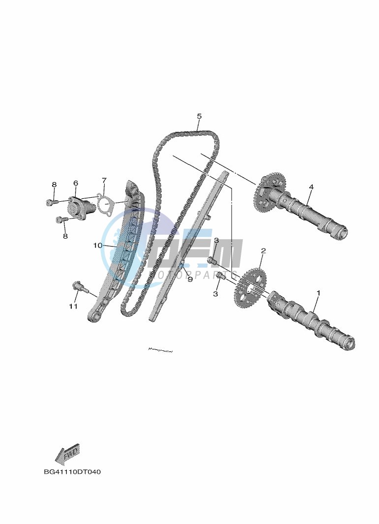 CAMSHAFT & CHAIN