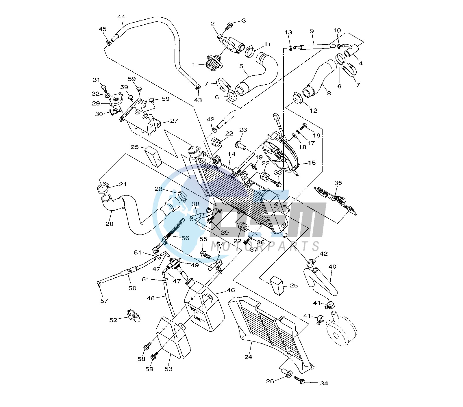 RADIATOR AND HOSE