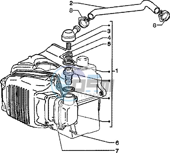 Oil drain valve