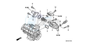 CB600FA39 France - (F / ABS CMF ST 25K) drawing THERMOSTAT