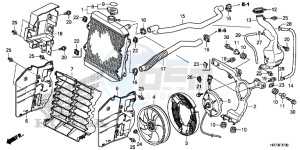 TRX420FA5F TRX420F Europe Direct - (ED) drawing RADIATOR