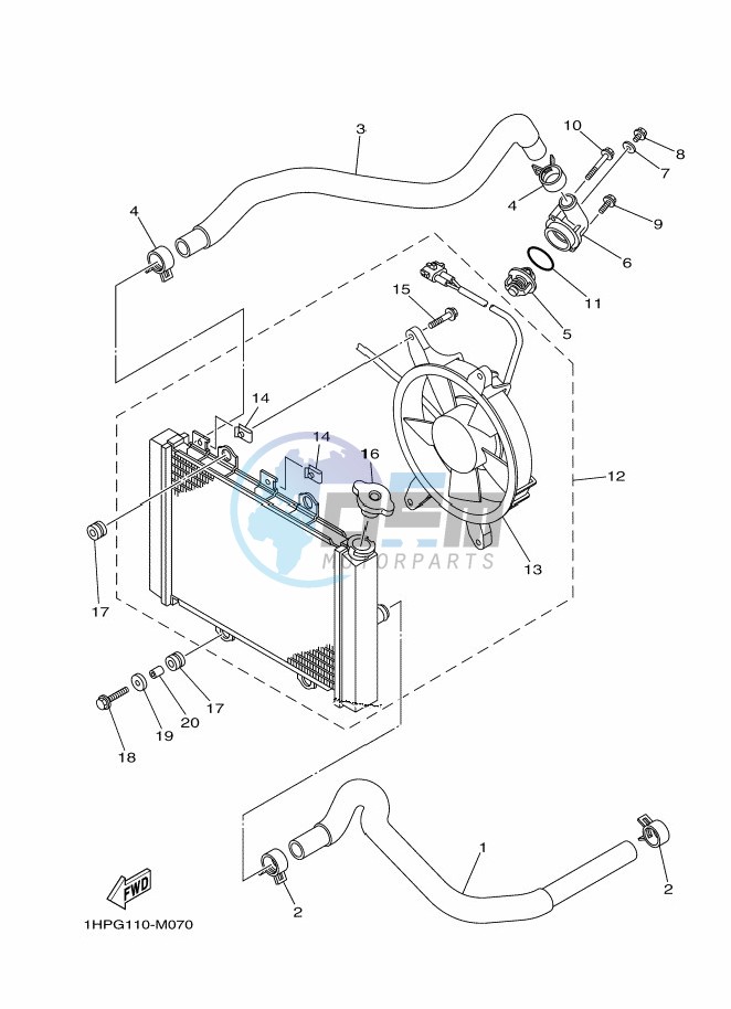 RADIATOR & HOSE