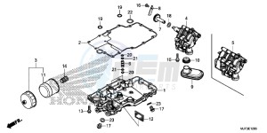 CRF1000G CRF1000 - Africa Twin Europe Direct - (ED) drawing OIL PAN/OIL PUMP