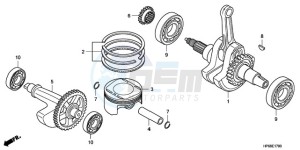 TRX700XX9 Australia - (U) drawing CRANKSHAFT/PISTON