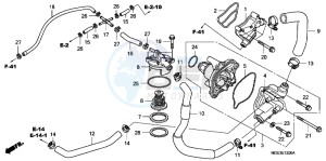 VFR1200FDD VFR1200F Dual Clutch UK - (E) drawing WATER PUMP