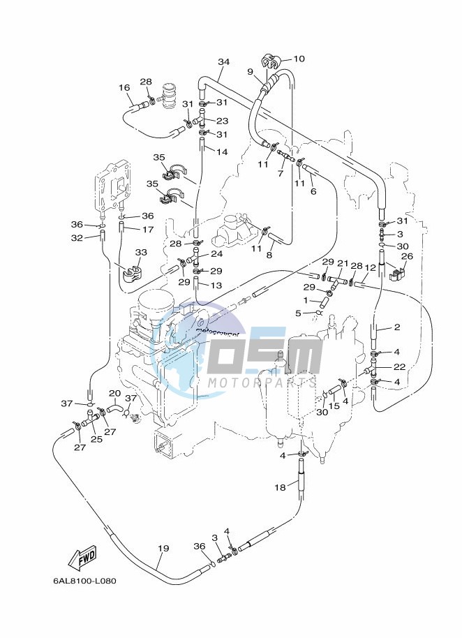 INTAKE-2