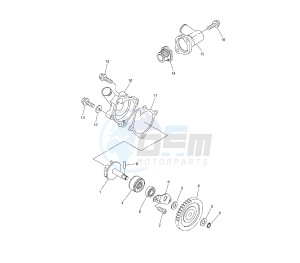 WR X 250 drawing WATER PUMP