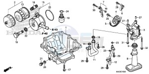 CBR600RRD CBR600RR UK - (E) drawing OIL PAN/OIL PUMP