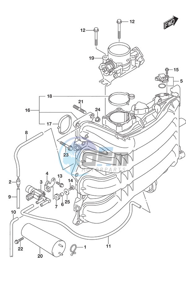 Intake Manifold/Throttle Body (Model: TG/ZG)