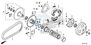 NSS125DF Forza 125 - NSS125D Europe Direct - (ED) drawing DRIVEN FACE