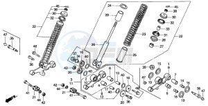 C50Z2 drawing FRONT CUSHION