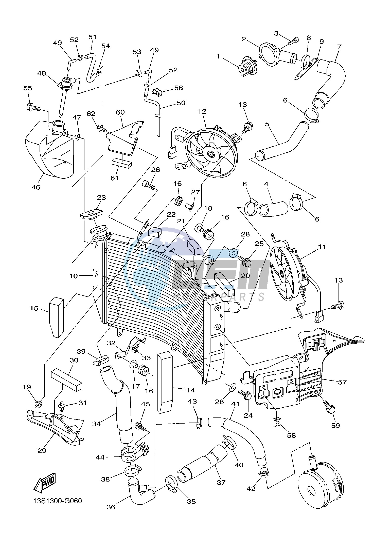 RADIATOR & HOSE