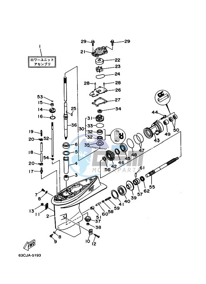 LOWER-CASING-x-DRIVE