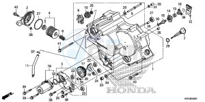 TRX420TM1E TRX420 Europe Direct - (ED) drawing FRONT CRANKCASE COVER (TRX420FE1/FM1/FM2/TE1/TM1)