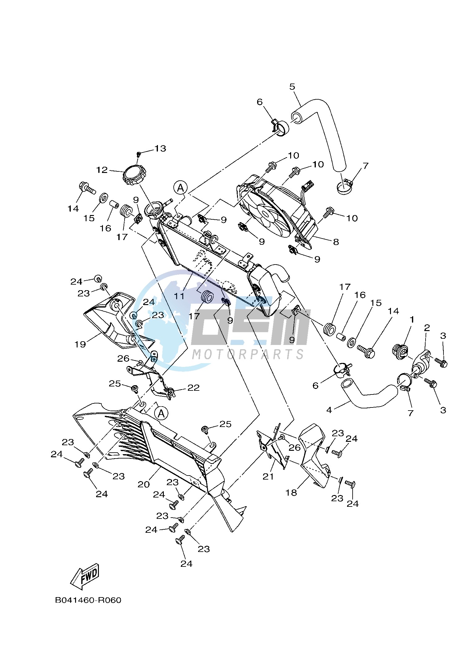 RADIATOR & HOSE