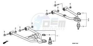 TRX250TMA U drawing FRONT ARM