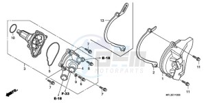 CBR1000RAA Europe Direct - (ED / ABS HRC) drawing WATER PUMP