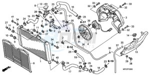 CB600FA9 France - (F / ABS CMF) drawing RADIATOR