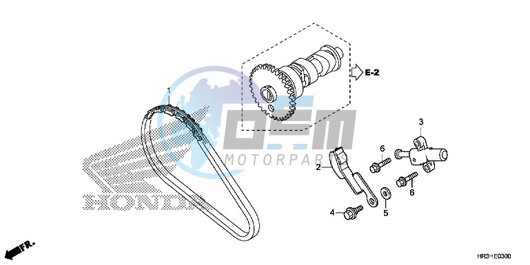 CAM CHAIN/TENSIONER