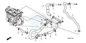 CBF1000AA France - (F / ABS CMF) drawing WATER PIPE