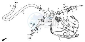 VTR1000SP VTR1000SP-1 drawing WATER PIPE