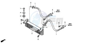 TRX250TE FOURTRAX RECON ES drawing OIL COOLER