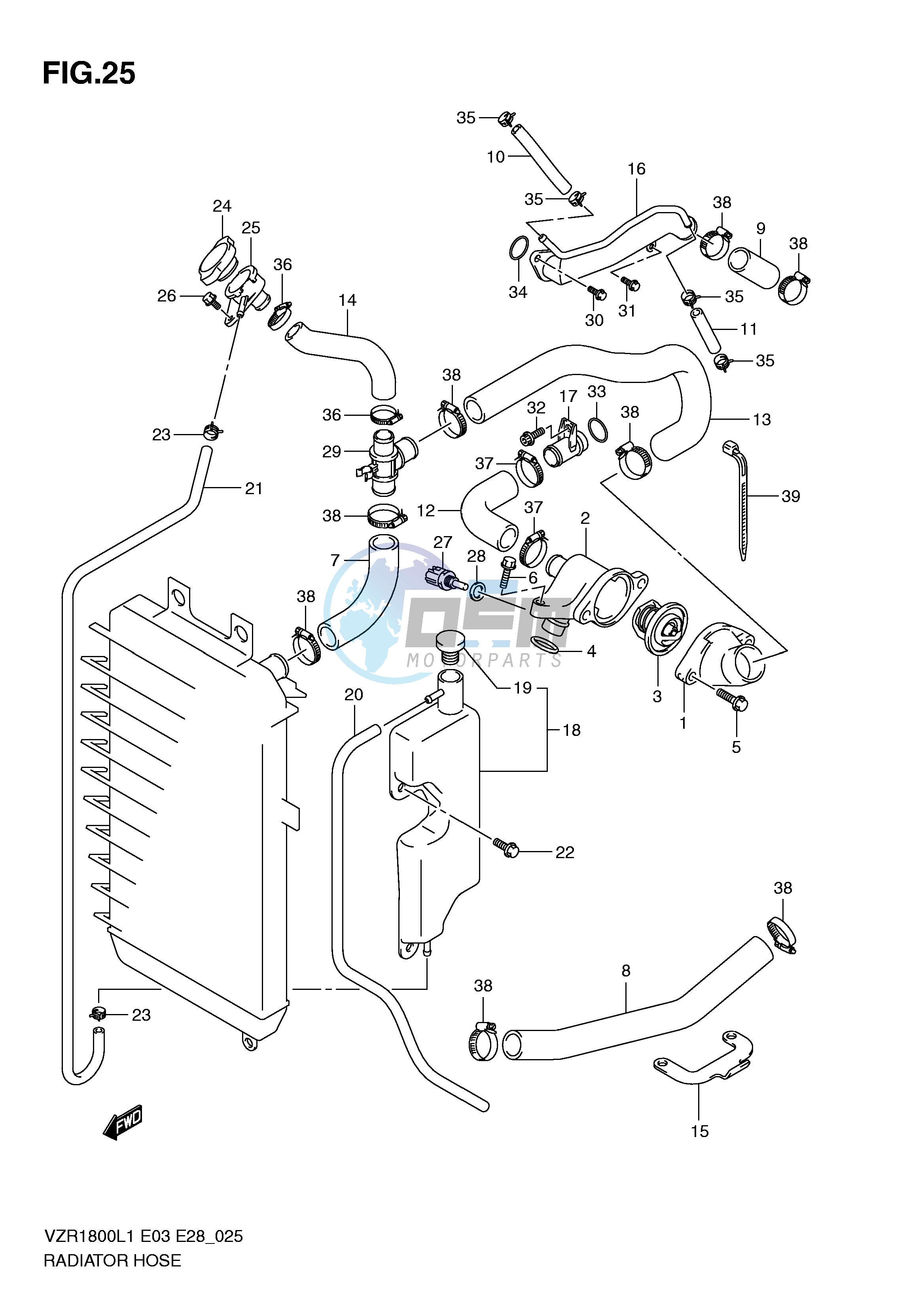 RADIATOR HOSE